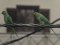 Παπαγάλος "δακτυλιόλαιμος"  -  Ring-necked Parakeet