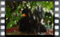 blackbird.M 2019-03-07-15-38-12crw