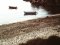 Ζάκυνθος: (Πρωϊνά) ίχνη (νυχτερινής) γέννας caretta caretta  -  Zakynthos Island: (Early morning) tracks of (nocturnal) caretta caretta egg-burrying deep into the beach sand